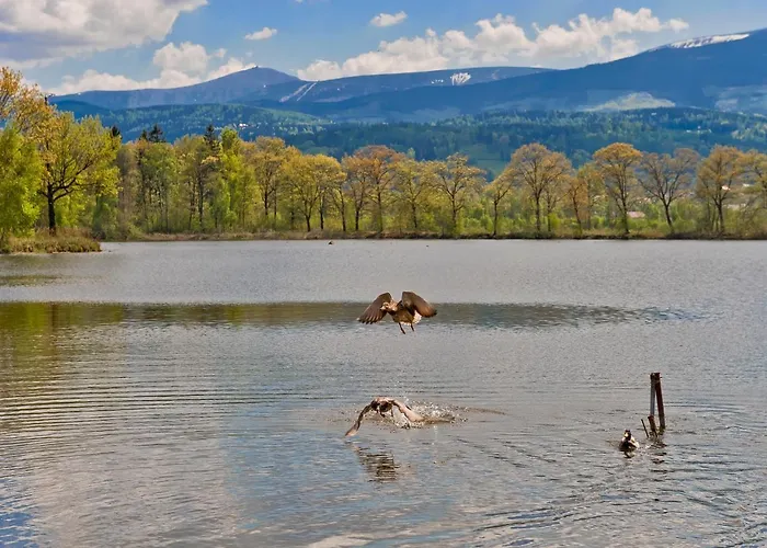 Folwark I Park Bed & Breakfast 3*